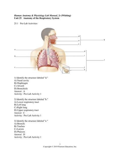 lab respiratory pre Flashcards .